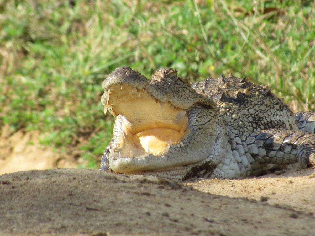 Castle Resort Yala Tissamaharama Kültér fotó
